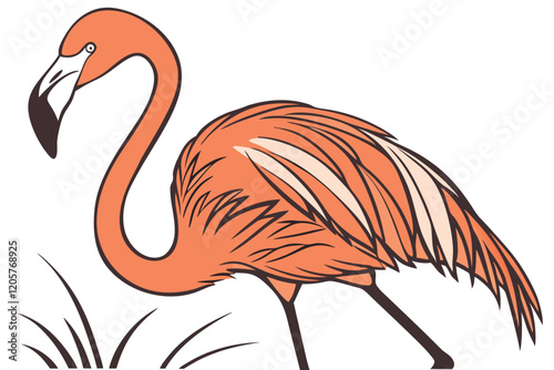 flamingo, vibrant orange feathers, long curved neck, slender legs, graceful pose, white background, photorealistic, detailed plumage, standing on one leg, black beak tip, elegant bird, nature photo