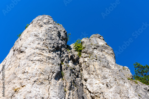 Fototapeta Naklejka Na Ścianę i Meble -  Filar Abazego Abazy Pillar Jurassic rock, part of Brama Bolechowicka Gate limestone rock formation in Dolina Bolechowicka Valley within Cracow Valleys landscape park in Lesser Poland