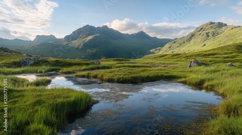 Mountain landscape with a still pond reflecting the sky at dusk a beautiful scene