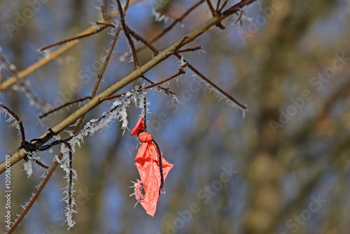 Geplatzer roter Luftballon hängt im Winter am Baum photo