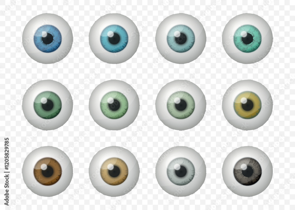 Realistic Vector Isolated Round Eyeballs Set With Various Pupil Colors. Detailed Eye Icons, Realistic Eyes, Eyeball Designs For Medical Illustrations, Eye Color Charts, Vision Studies, Eye Anatomy Realistic Vector Isolated Round Eyeballs Set With Various Pupil Colors. Detailed Eye Icons, Realistic Eyes, Eyeball Designs For Medical Illustrations, Eye Color Charts, Vision Studies, Eye Anatomy