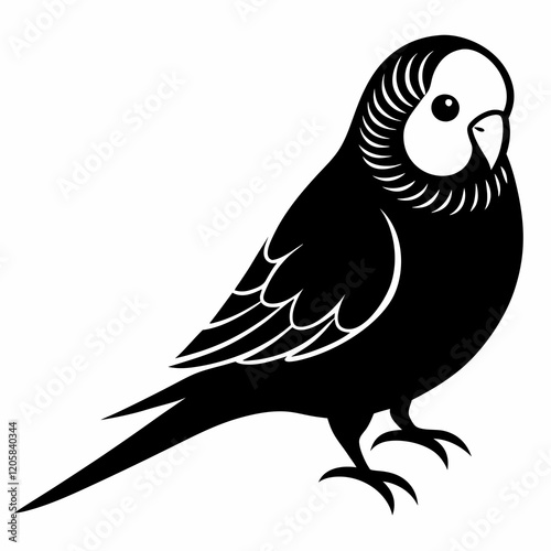 Budgerigar Black Silhouette Vector on White Background