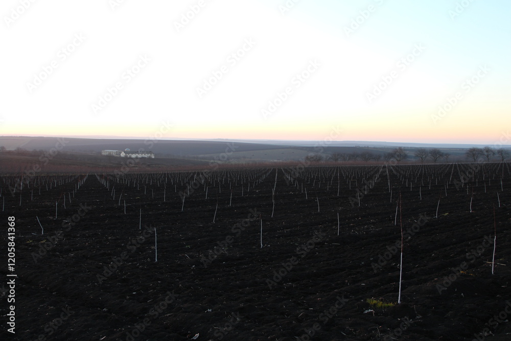 Obraz premium A field with a sign and a sunset in the background