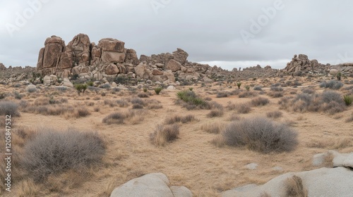 Desert landscape, rocky outcrop, path, overcast sky, travel brochure photo