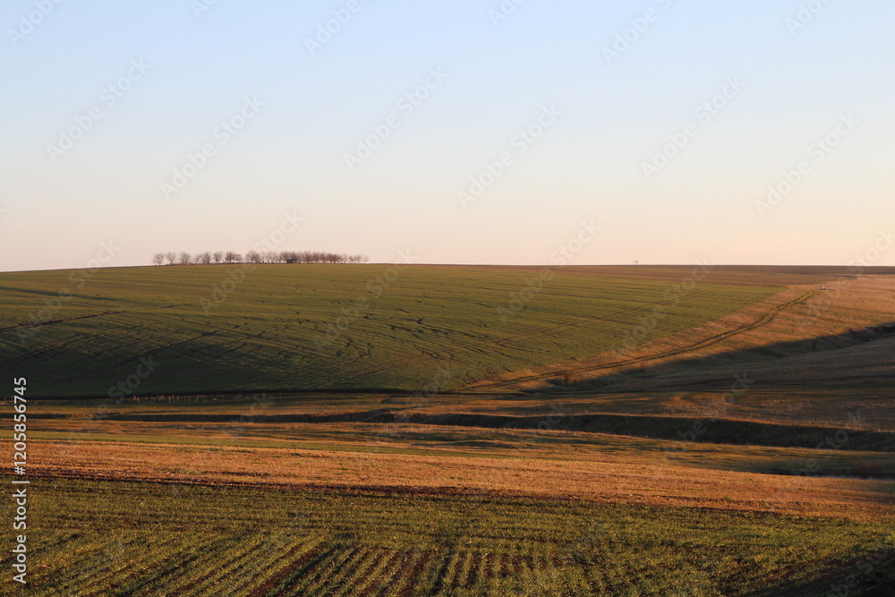 A field with a sign A field with a sign