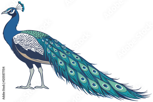 Majestic peacock, vibrant blue feathers, iridescent plumage, long ornate tail, proud stance, detailed feather texture, white background, photorealistic,