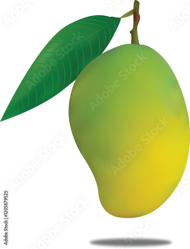 Realistic Ripe And Green Mango Vector Illustration 