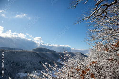 Winterwelt die Fünfte photo