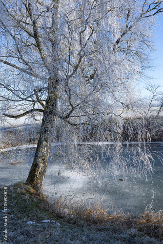 Chiemsee Winter