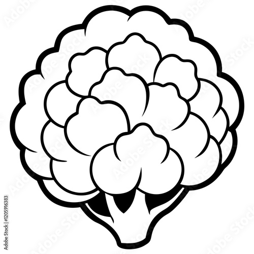 Creative Cauliflower Vector Composition