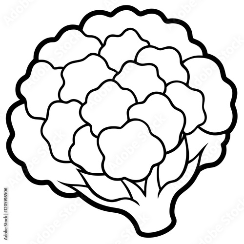 Creative Cauliflower Vector Composition