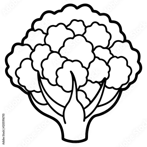 Creative Cauliflower Vector Composition