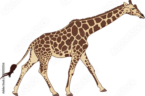 Photorealistic giraffe, full body portrait, white background, studio lighting, high resolution, detailed texture, rich browns and tans, intricate spot pattern