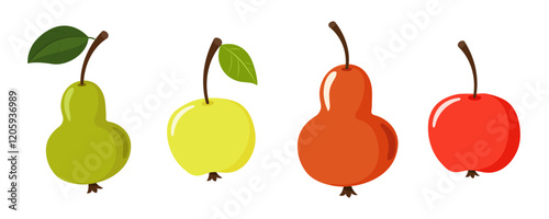 Kit. Fruit apples and pears. Flat style. 