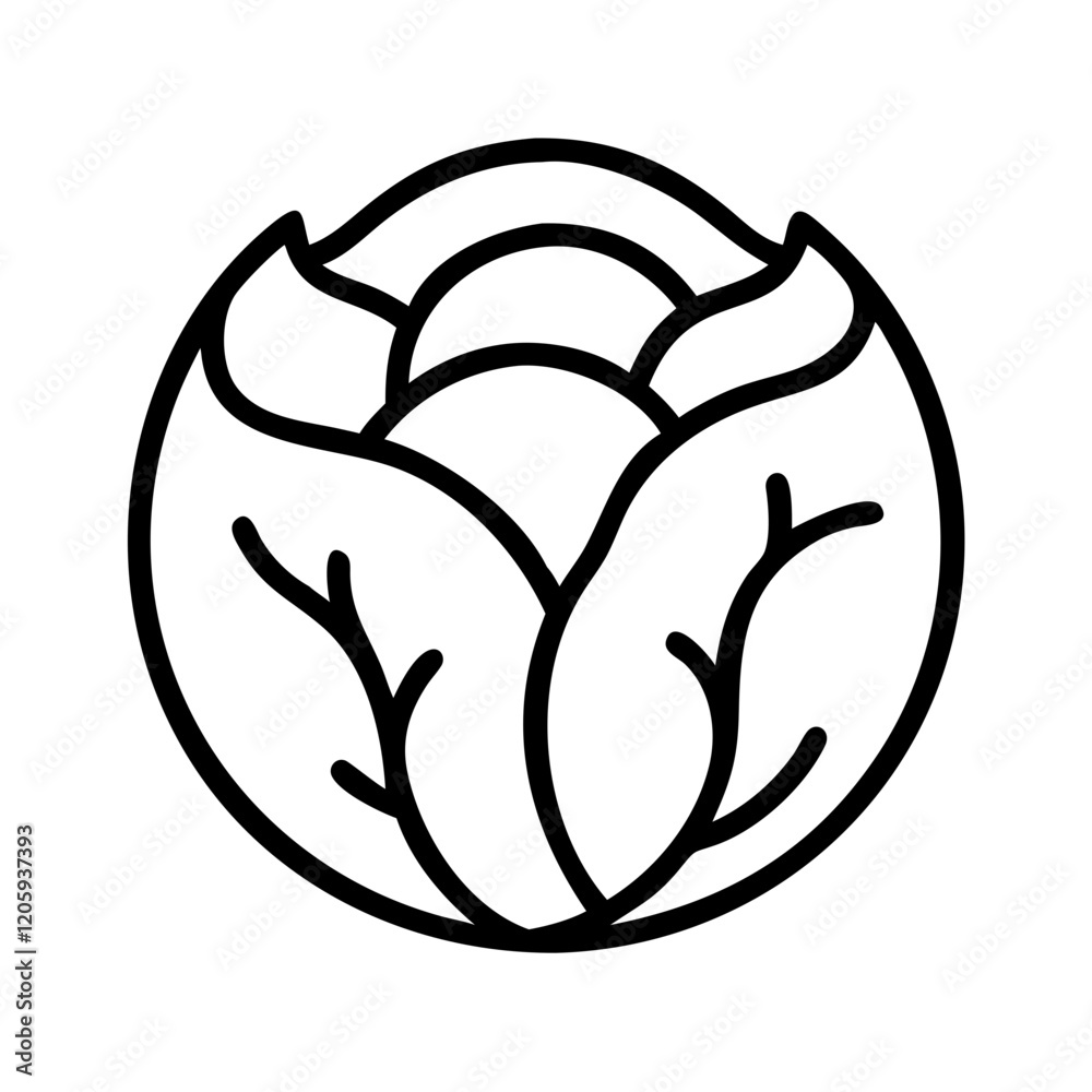 cabbage icon, cabbage line art - simple line art of cabbage, perfect for cabbage logos and icons cabbage icon, cabbage line art - simple line art of cabbage, perfect for cabbage logos and icons
