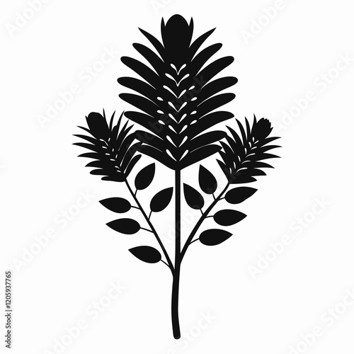 Silky Oak (Grevillea Robusta) Black Silhouette Vector on White Background