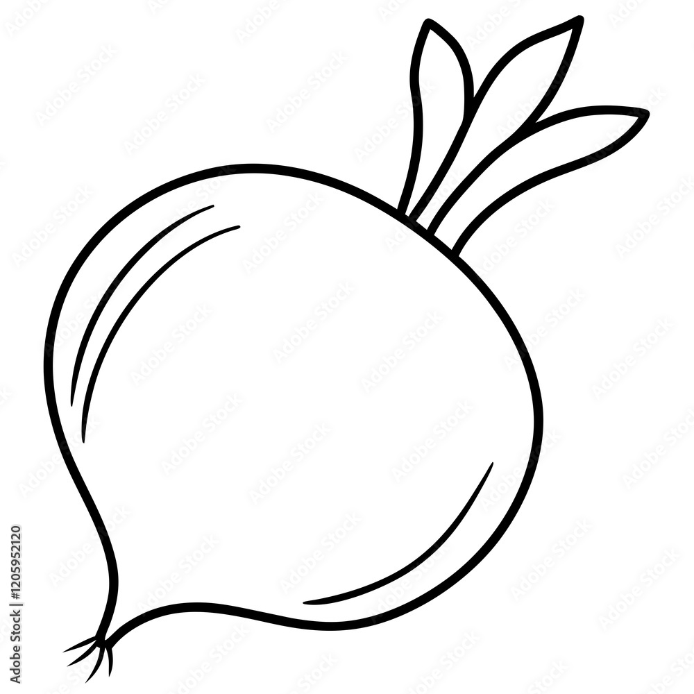 Elegant Turnip Vector Line Art Elegant Turnip Vector Line Art