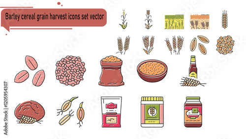 Barley cereal grain harvest icons set vector