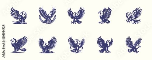 Set of bald eagle, silhouette, vector illustration