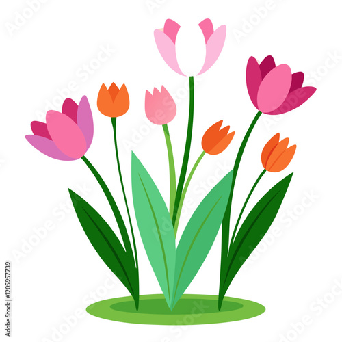 Spring flower illustration , spring flower vector design  