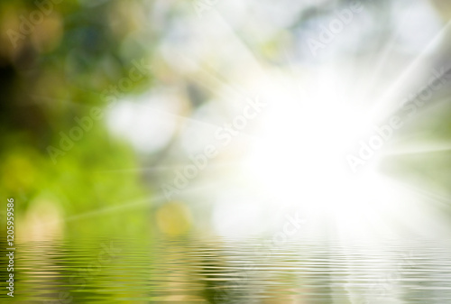 Sunlight reflecting on a tranquil water surface amidst a vibrant natural setting