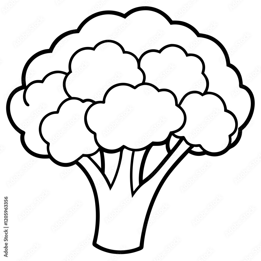 Fresh Broccoli Vector Illustration Fresh Broccoli Vector Illustration