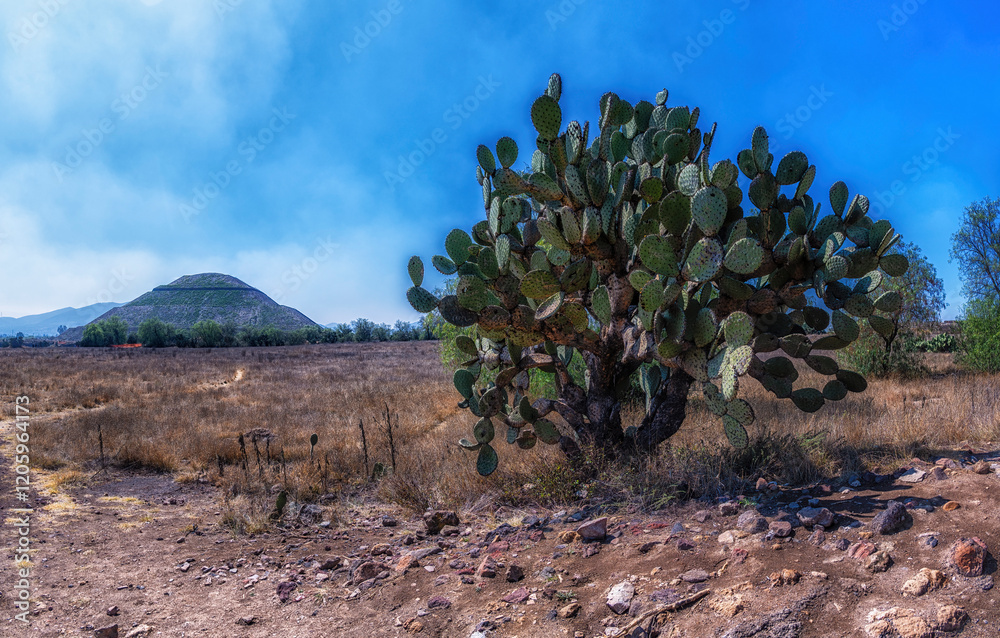 The sun pyramid in Teotihuacan. View with sky. The sun pyramid in Teotihuacan. View with sky.