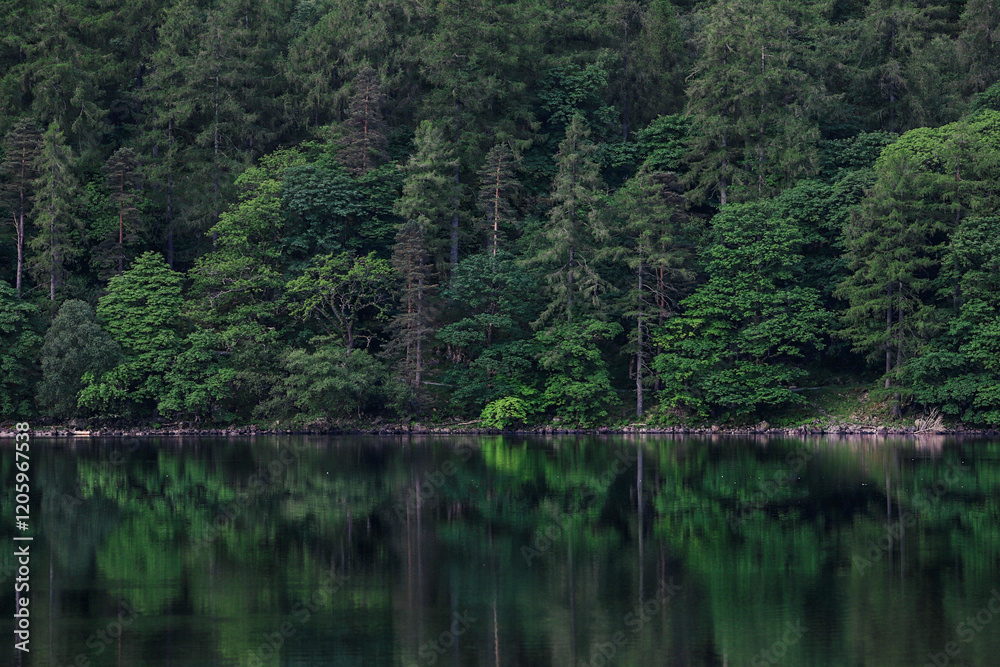 lake in the woods lake in the woods