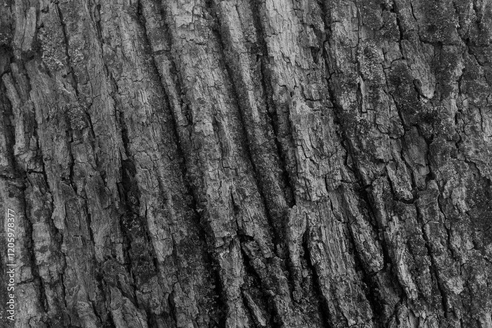 texture of rock or rock formation in gray tones with pronounced relief texture of rock or rock formation in gray tones with pronounced relief