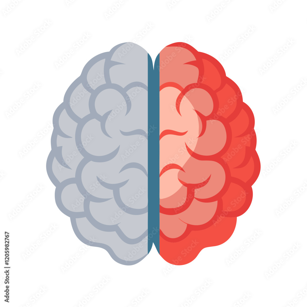 Brain icon with left and right hemisphere Brain icon with left and right hemisphere