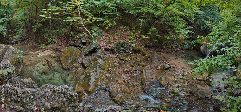Obraz premium Russia, Republic of Crimea. View of the Ulu-Uzen riverbed in the shade of the rocky thickets of the mountain gorge of the Haphalsky hydrological reserve.