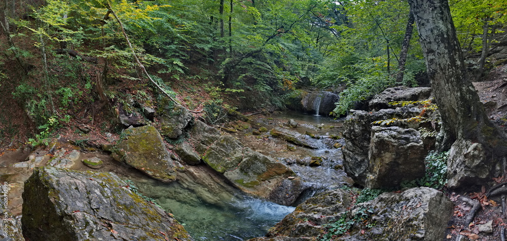 Russia, Republic of Crimea. View of the Ulu-Uzen riverbed in the shade of the rocky thickets of the mountain gorge of the Haphalsky hydrological reserve. Russia, Republic of Crimea. View of the Ulu-Uzen riverbed in the shade of the rocky thickets of the mountain gorge of the Haphalsky hydrological reserve.