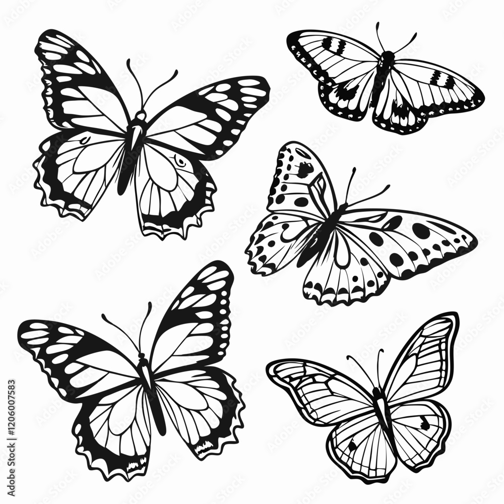 Obraz premium Six black and white butterfly illustrations with detailed wing patterns, shown in various positions on a white background