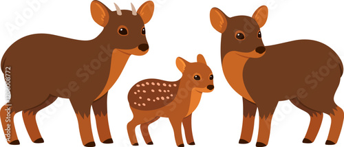 Pudu family, adult male, female and baby. Small South American deer. Cute cartoon drawing, vector illustration.