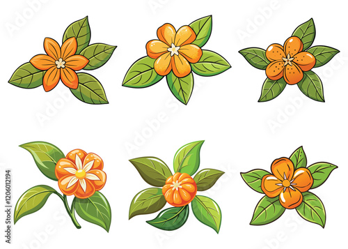 Orange blossom with leaves vector illustration isolated on white background.