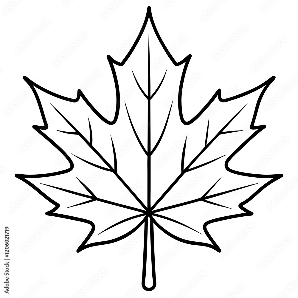 Obraz premium Graceful maple leaf outline vector