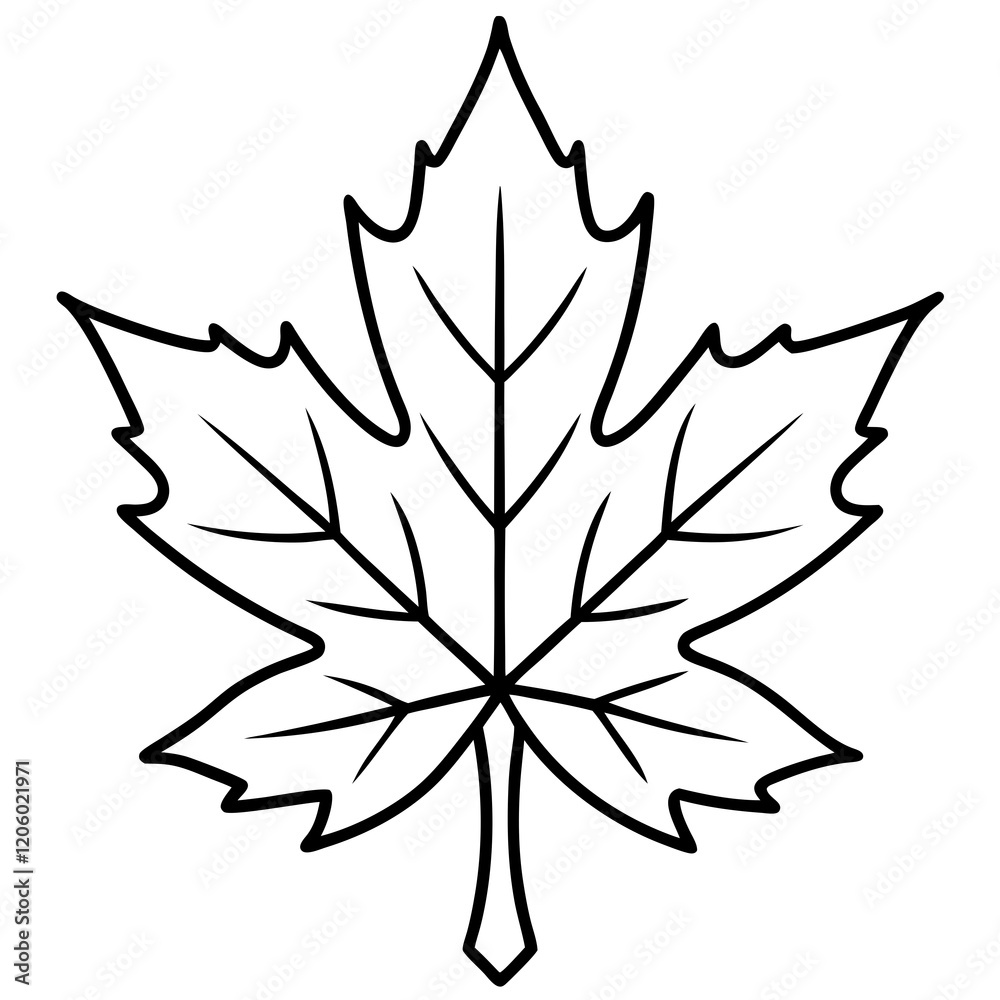 Obraz premium Graceful maple leaf outline vector