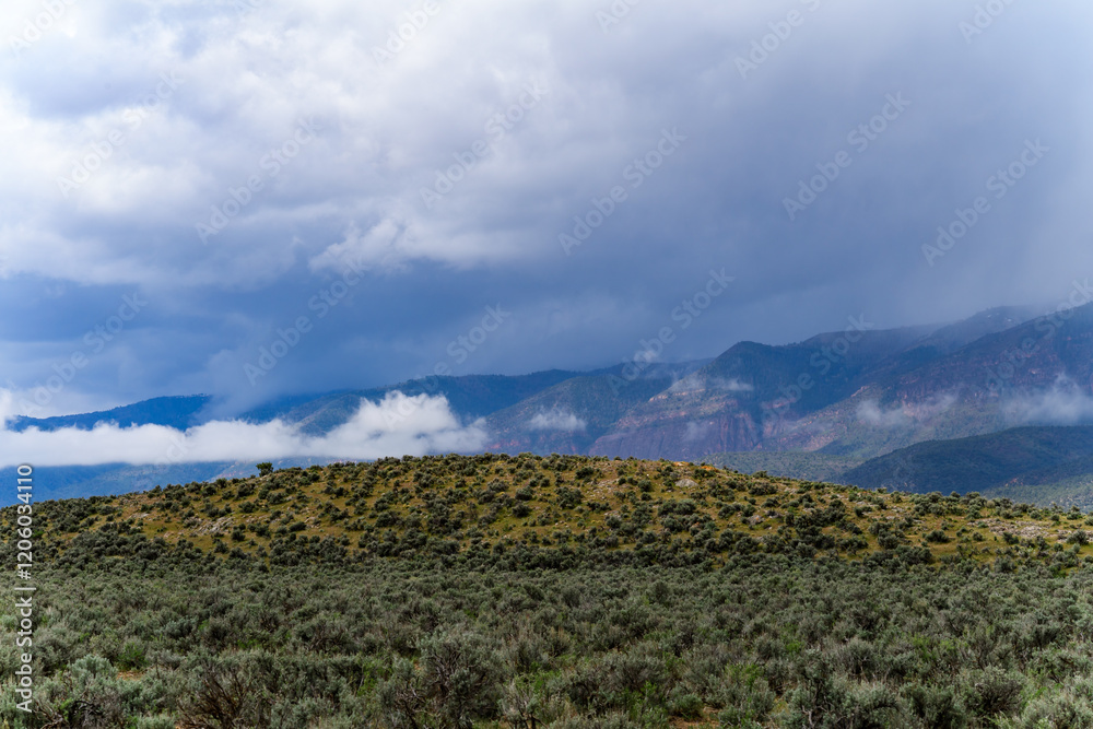 Forested mountains covered with low hanging clouds - USA Forested mountains covered with low hanging clouds - USA