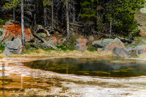 Geysers with hot water spew steam in Yellowstone National Park