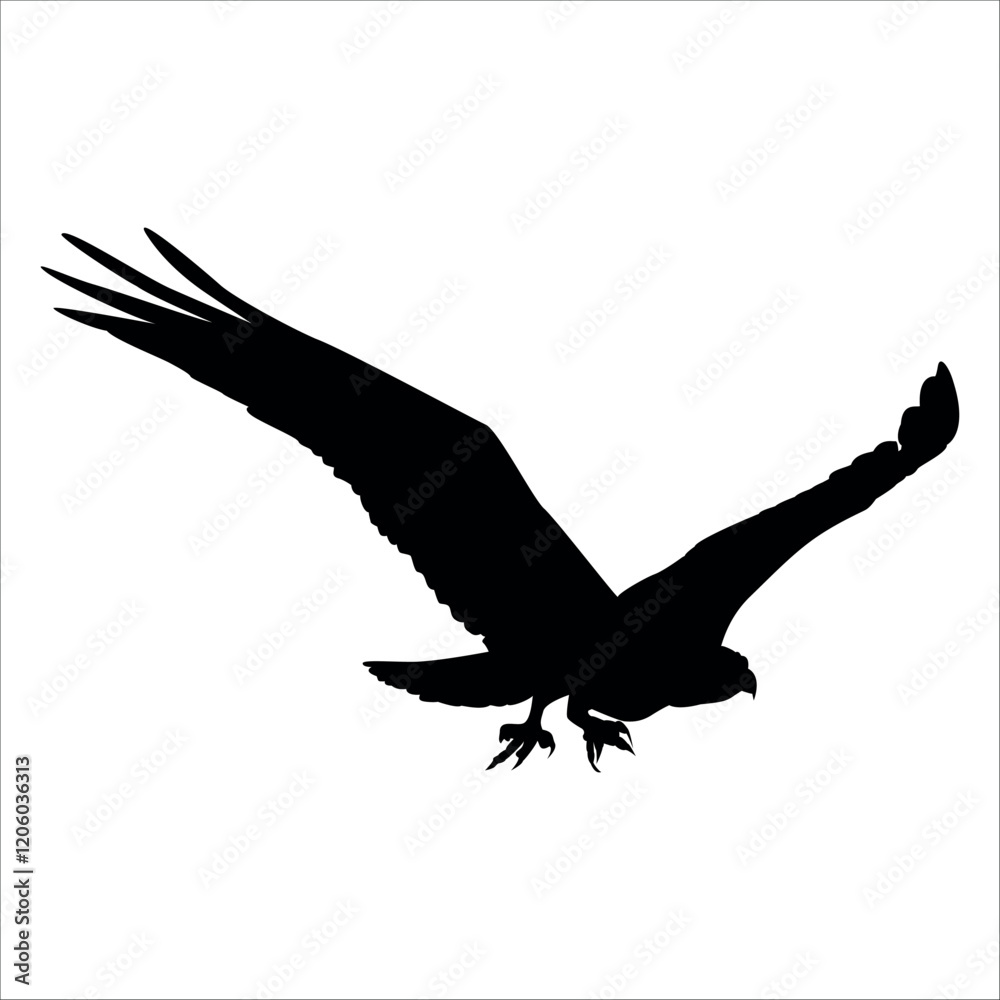 Fototapeta premium American Eagle Bird Silhouette Vector illustration