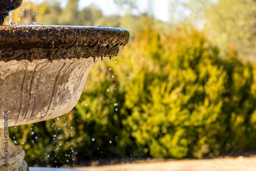 fountain in the park