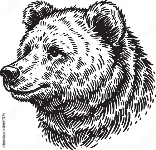 black and white drawing of a bear's head, suitable for laser engraving and printing on various souvenirs