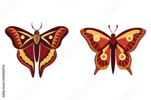 atlas moth insect vector illustration set. photo