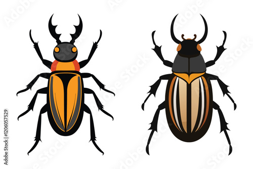 goliath beetle insect vector illustration set