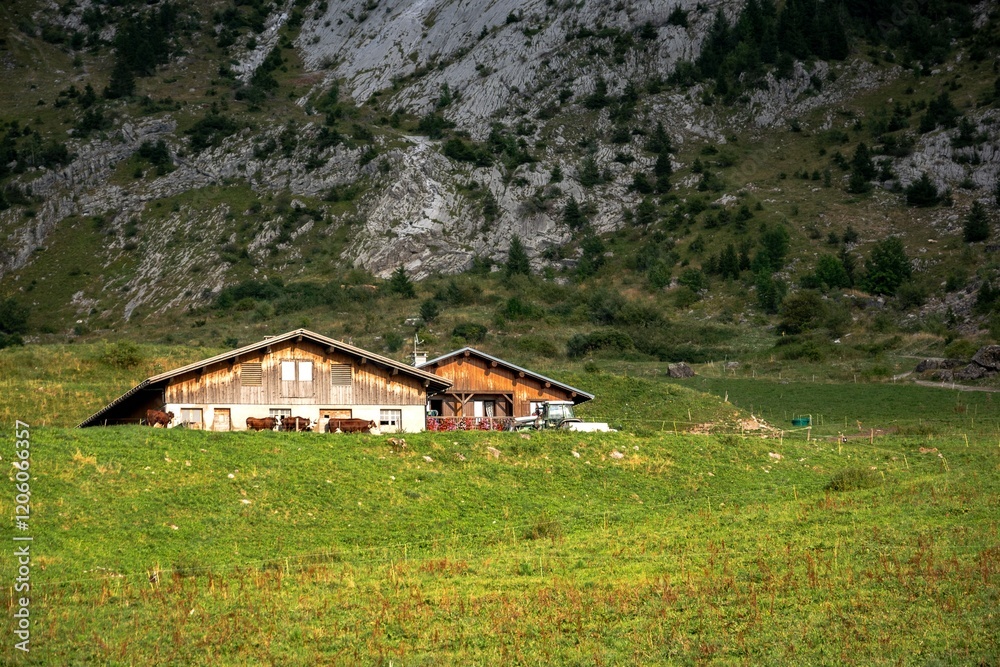 Fototapeta premium old house in the mountains
