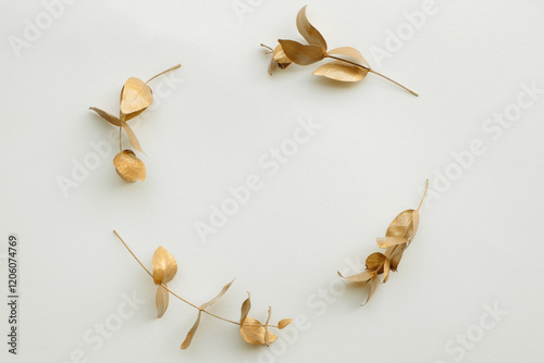golden leaves on white background as botanical frame flatlay, eco design and spring nature flat lay concept