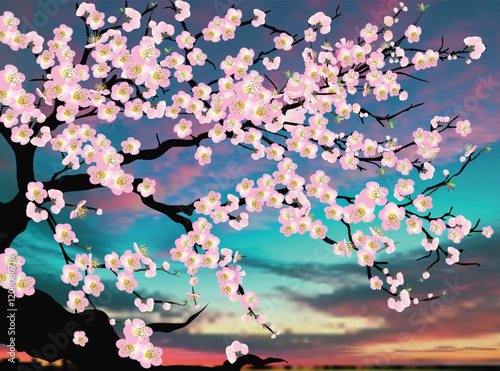 part of cherry tree with large pink flowers on sunset sky background