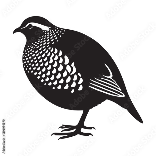 Elegant Silhouette Illustration of a Scaly Quail Bird photo