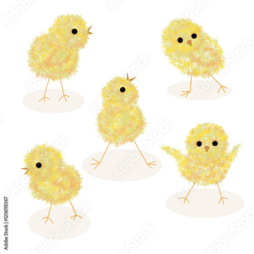 set of yellow fluffy chickens for decoration for Easter, children's stickers, animal world, vector image