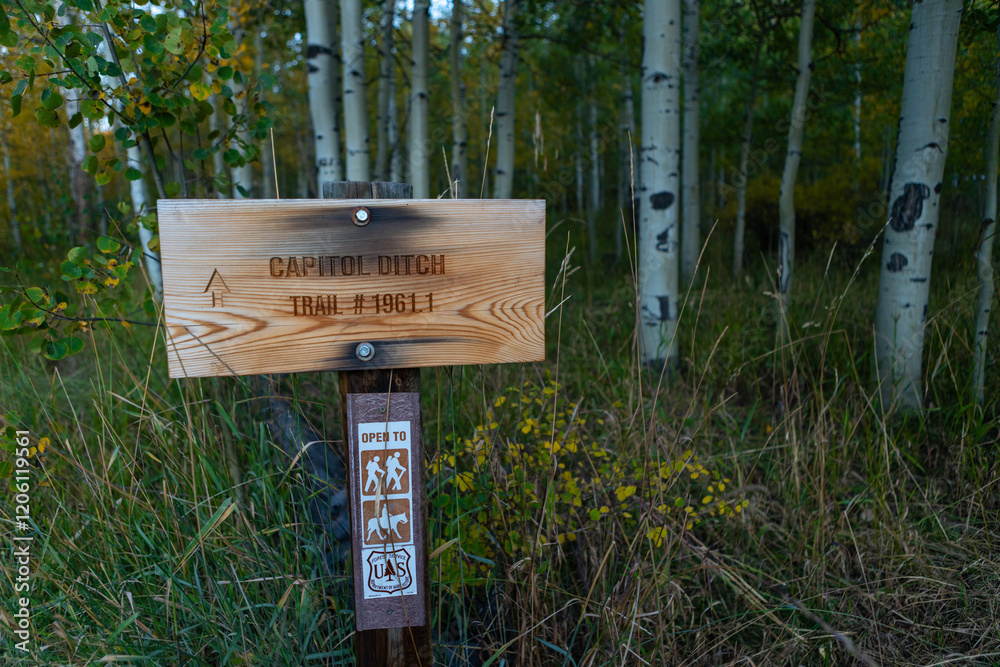 Capitol Ditch Trail #1961.1 sign at Capitol Ditch Trailhead on a crisp fall morning in September with grass and aspen trees. Capitol Ditch Trail #1961.1 sign at Capitol Ditch Trailhead on a crisp fall morning in September with grass and aspen trees.